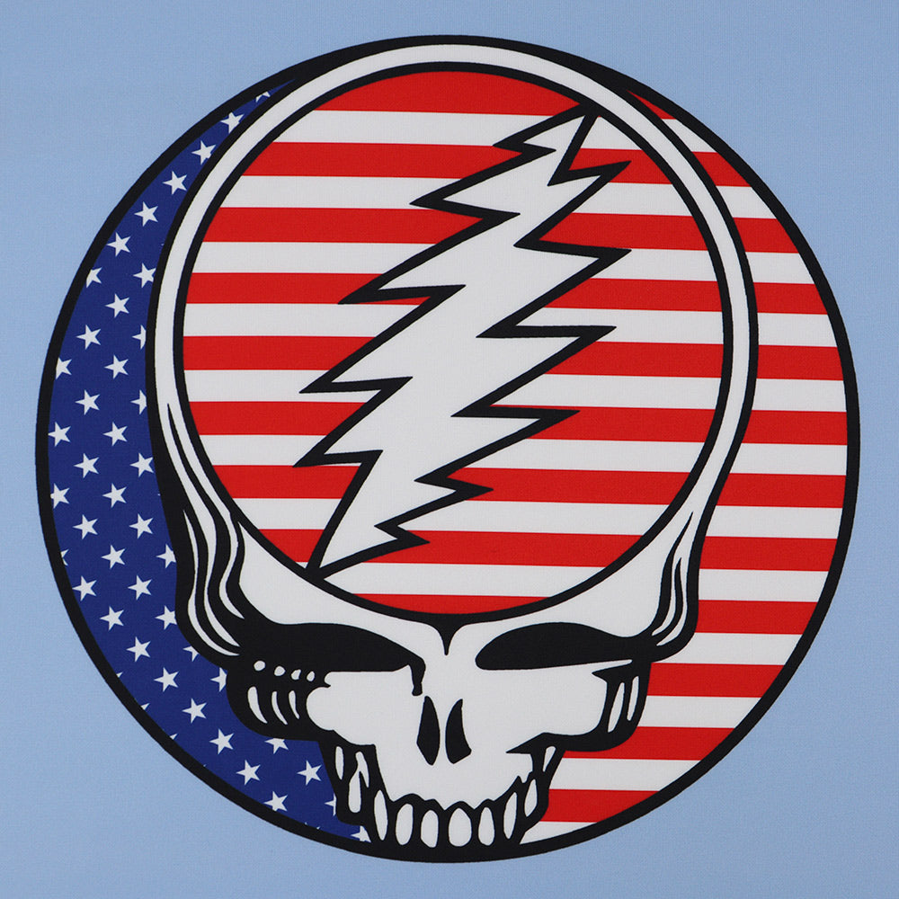Grateful Dead Lightweight Pullover Hoodie Flag Stealie in Light Blue - Section 119