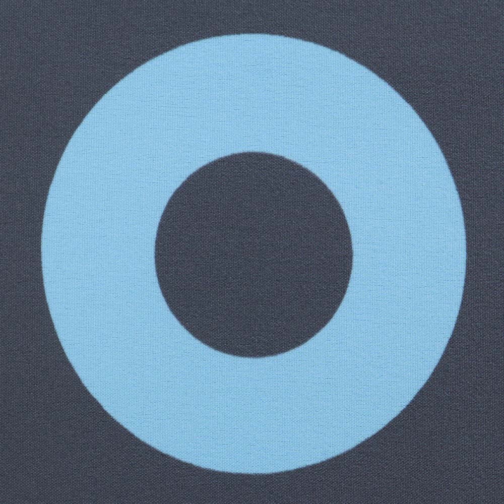 Phish Board Shorts Grey & Blue - Section 119