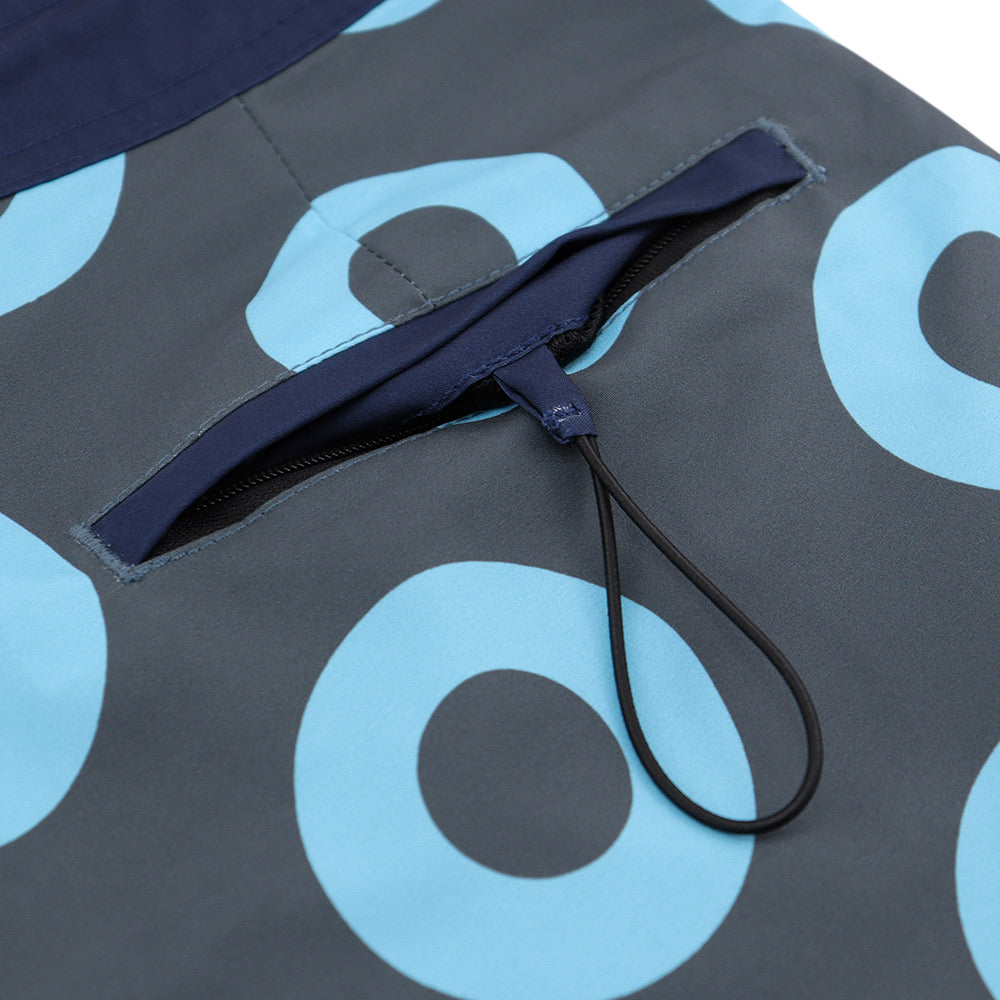 Phish Board Shorts Grey & Blue - Section 119