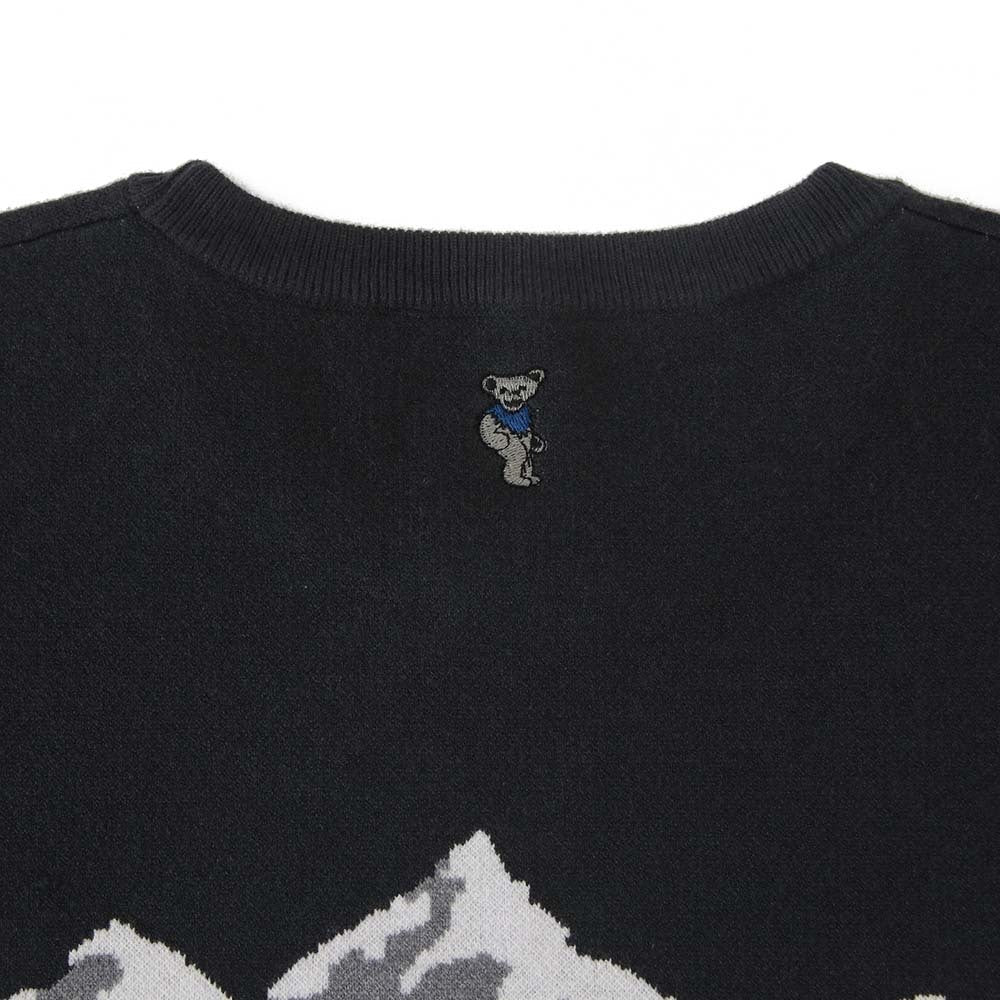 Grateful Dead Ski Bear Sweater - Section 119