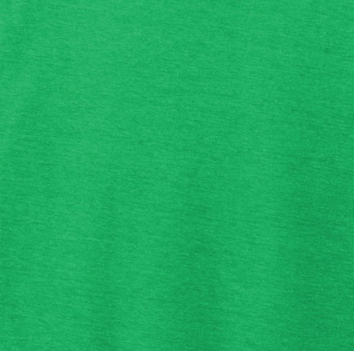 Phish Eco Green Donut T-Shirt - Section 119
