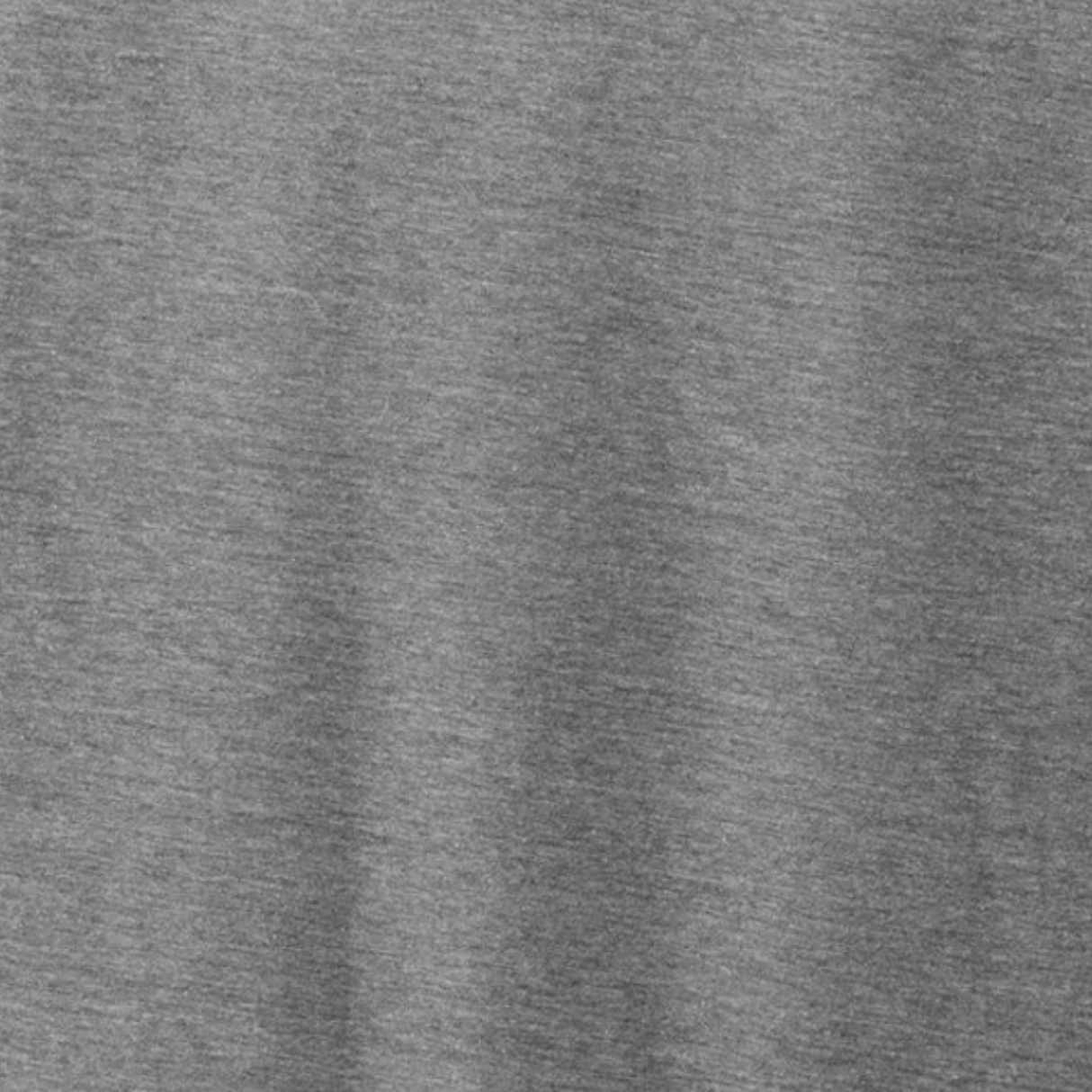 Phish Eco Grey Donut T-Shirt - Section 119