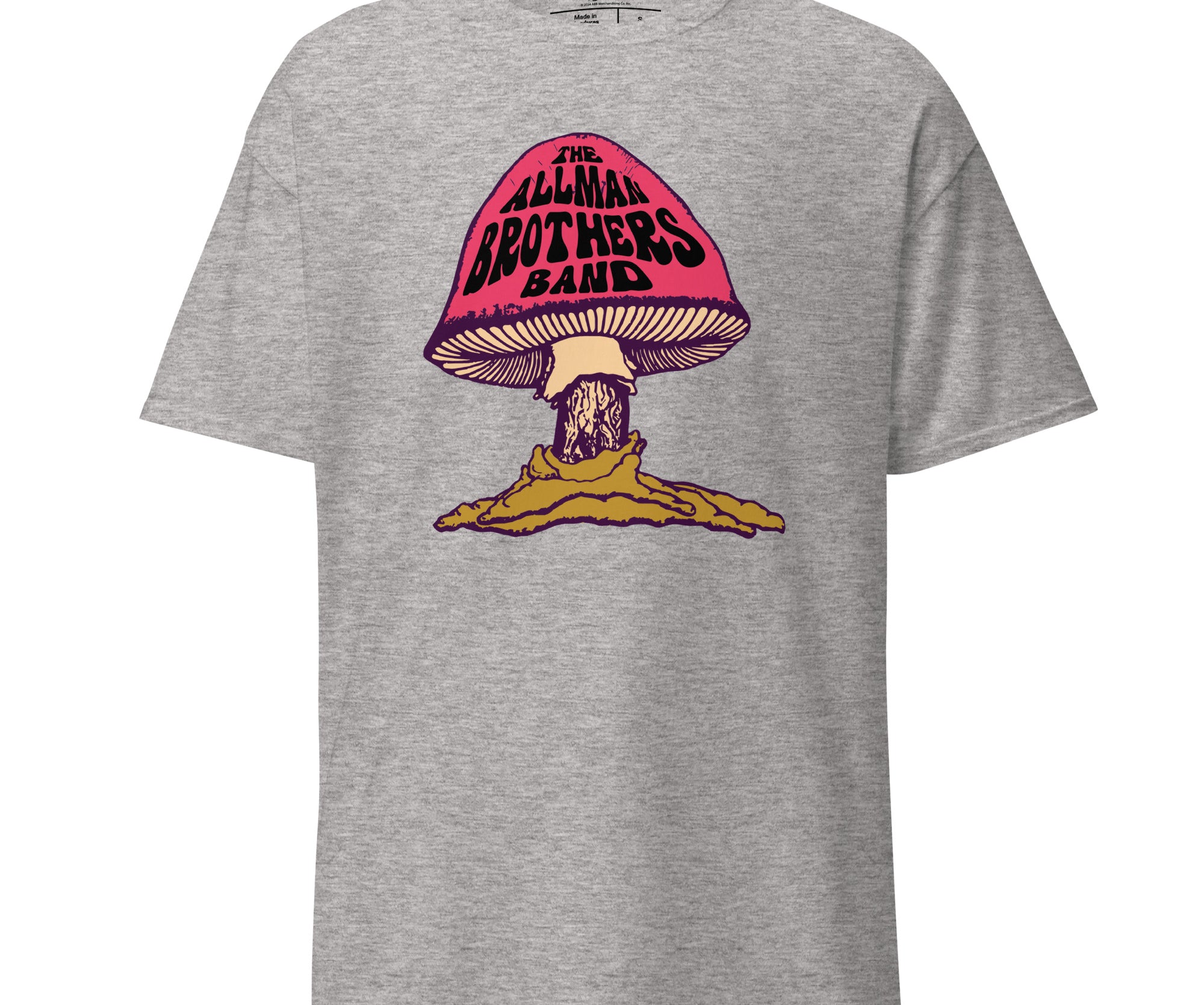 The Allman Brothers Eco T-Shirt Mushroom Logo in Grey - Section 119
