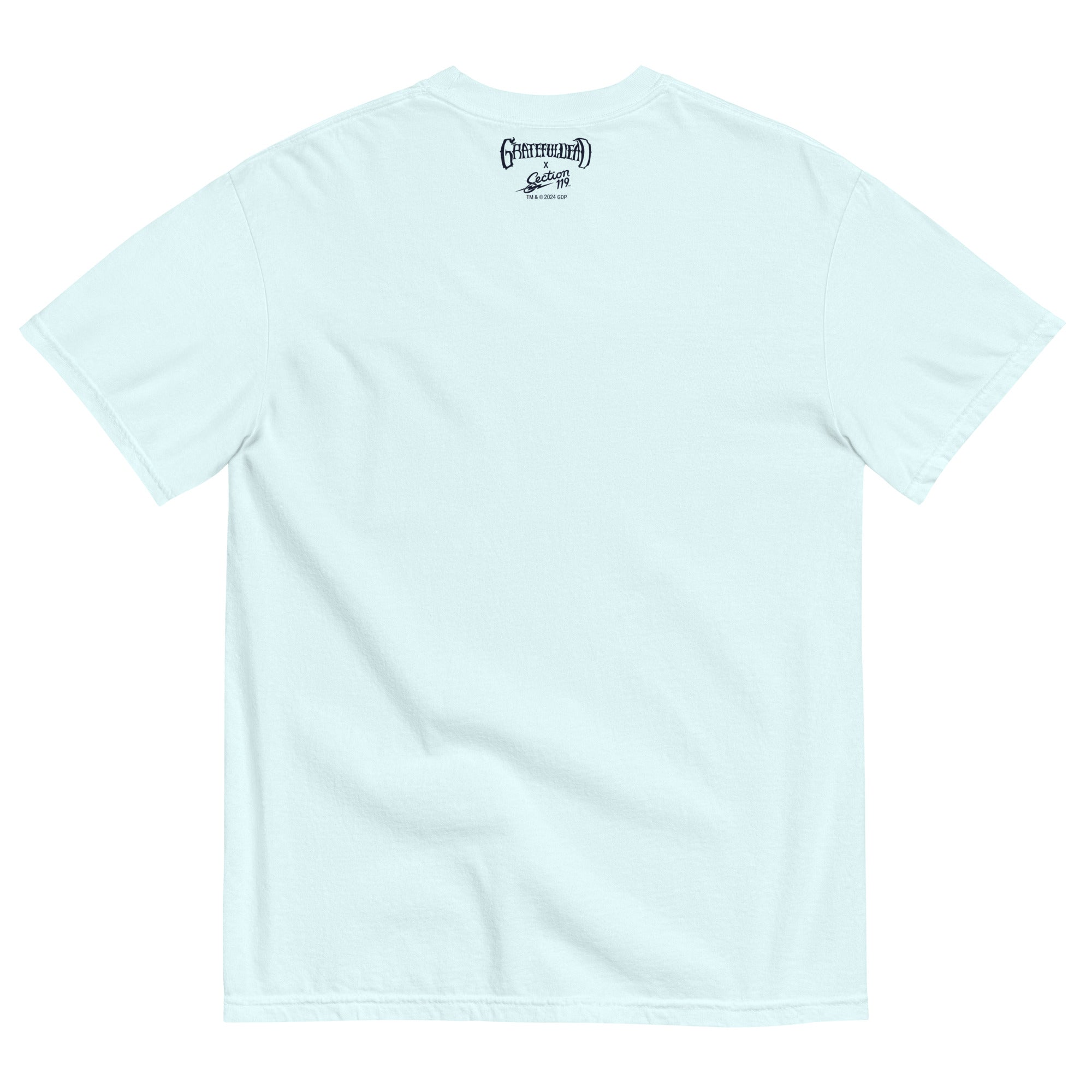 Grateful Dead | Pigment Dye Oversize Cotton Tee | Dead Head Canoe - Section 119