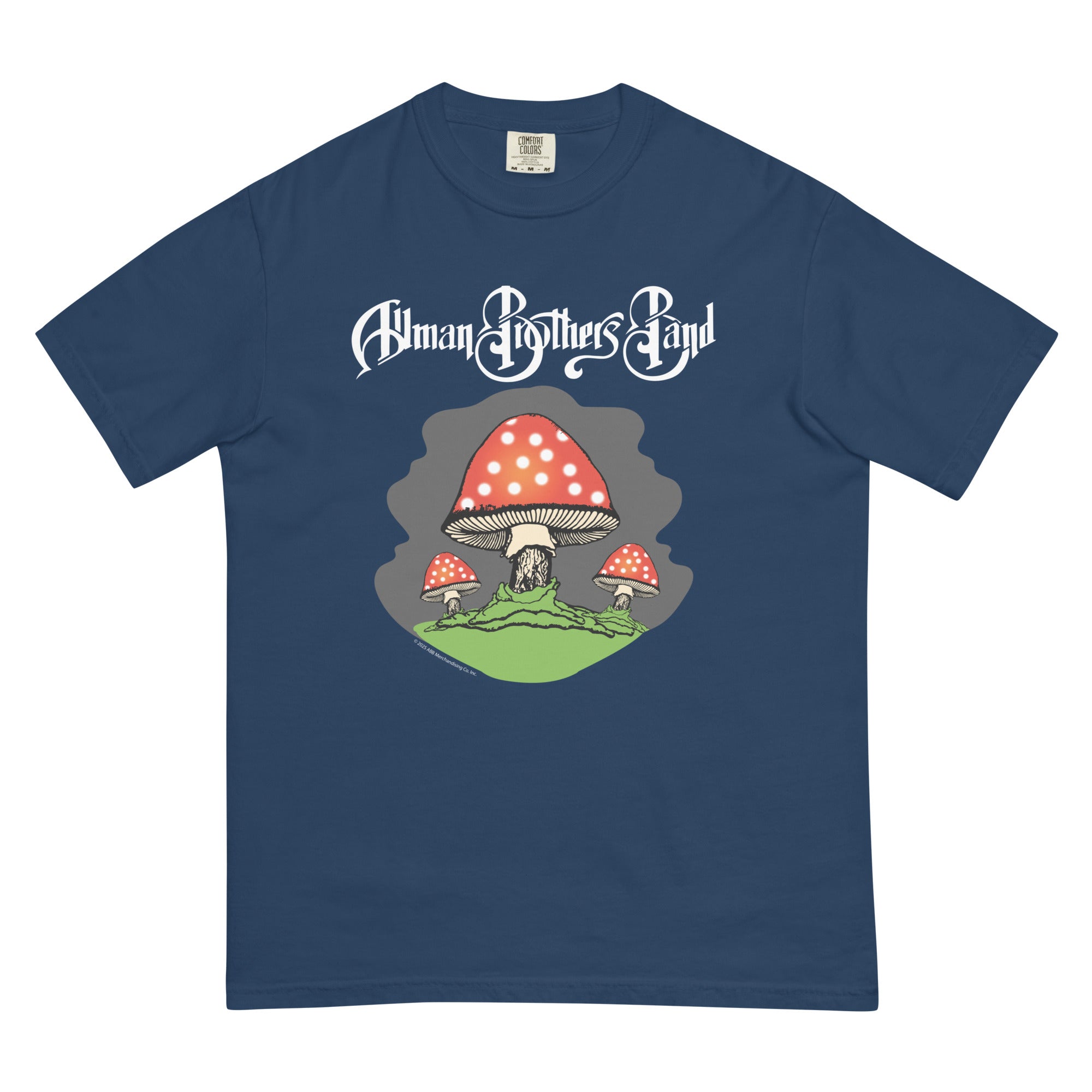 90s　The Allman Brothers Band バンド　Tシャツ Allman Brothers Band Vintage 90's Rock Tour T-shirt concert