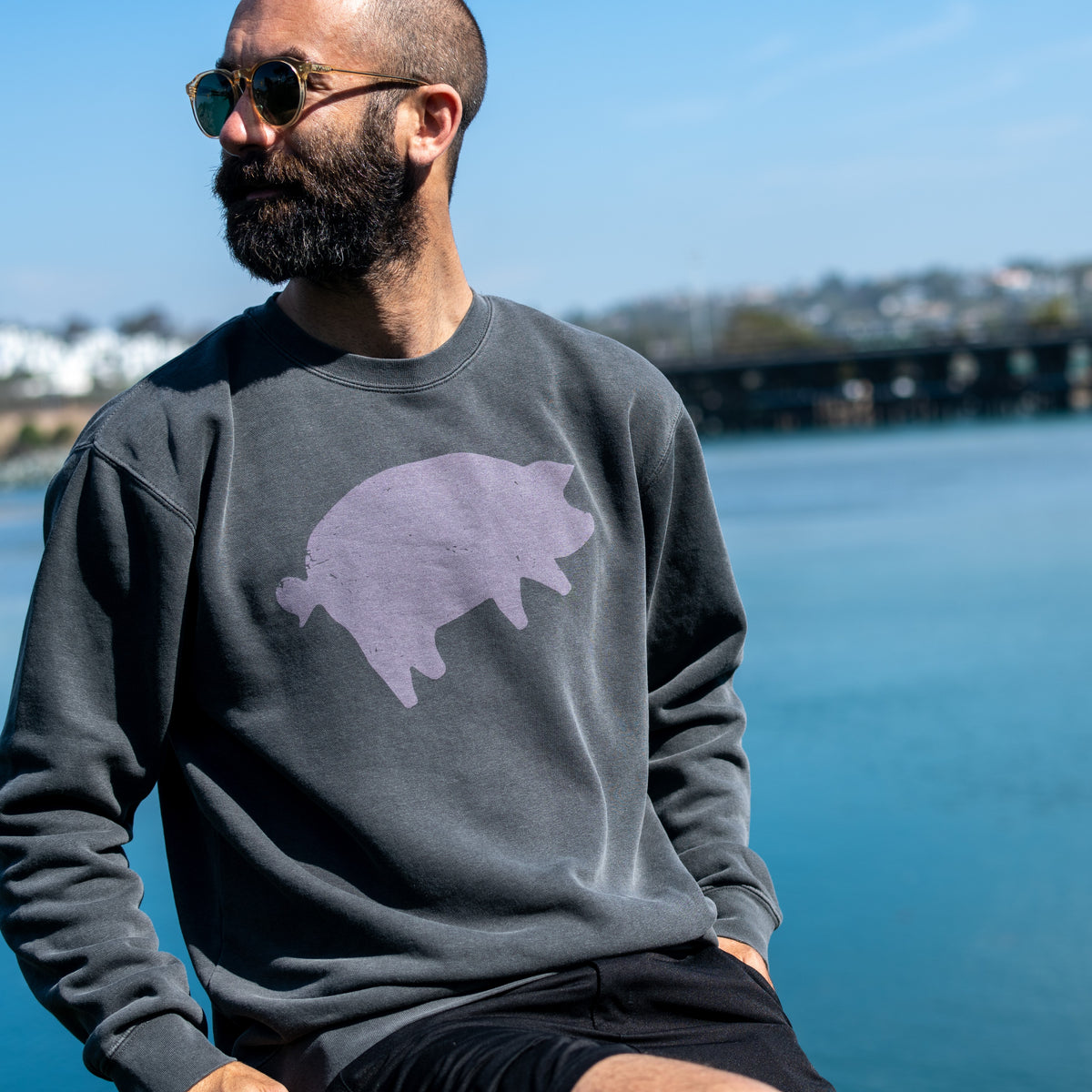 Pink Floyd Sweatshirt Cement Animals - Section 119