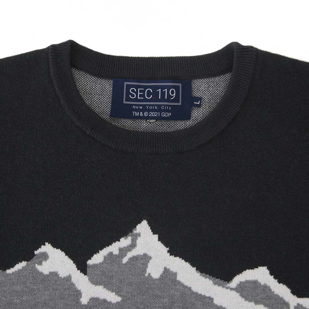 Grateful Dead Ski Bear Sweater - Section 119